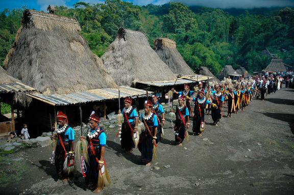 Immersion au coeur d'une fête dans un village ngadha sur l'île de Flores