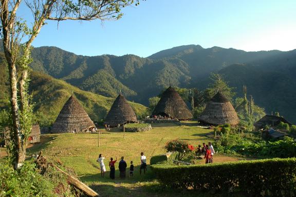 Randonnée vers le village manggarai de Wae Rebo sur l'île de Flores