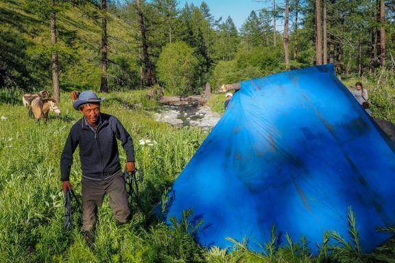 Trek et bivouac dans la taïga de Mongolie