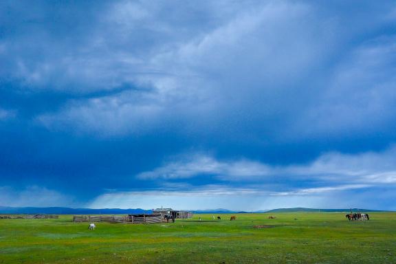 Voyage dans la steppe mongole