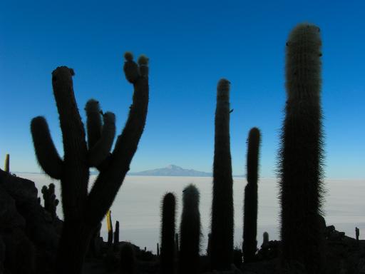 Salar d'Uyuni en Bolivie

Salar d'Uyuni en Bolivie
