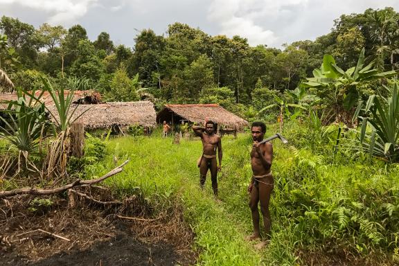 Randonnée avec des hommes korowai se rendant en forêt tout au sud de la Papua indonésienne