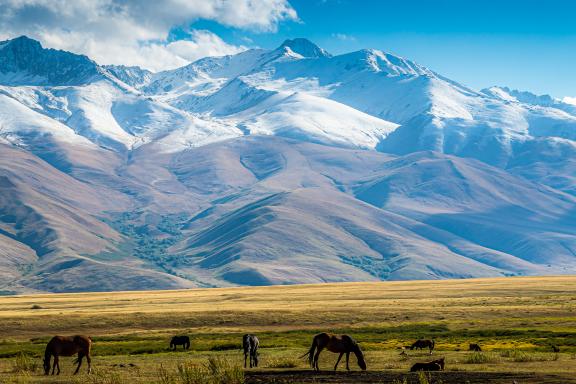 Trek dans la vallée de Suusamyr au Kirghizistan