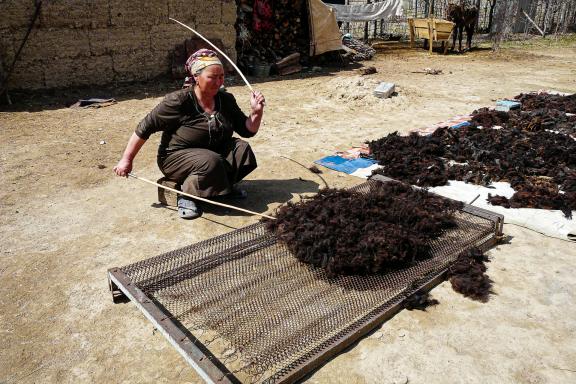 voyage kirghizistan shyrdak tapis en feutre