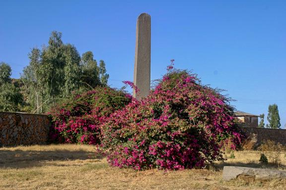 Découverte culturelle de l'obélisque d'Axoum dans le Nord éthiopien