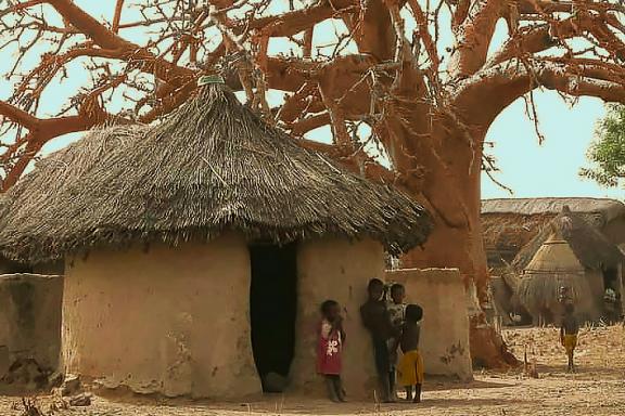 Découverte des baobabs et des cases en pays Somba