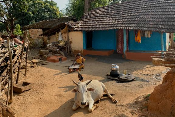 Trek vers la cour d'une maison traditionnelle dans les collines de l'Orissa