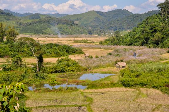 Randonnée à travers un plateau environné de collines dans la région de Luang Namtha