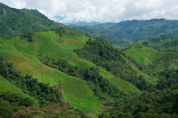 Trekking à travers montagnes et forêts dans la région de Ban Pak Nam Noi