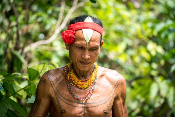 Randonnée avec un chaman mentawaï de Siberut vers une uma