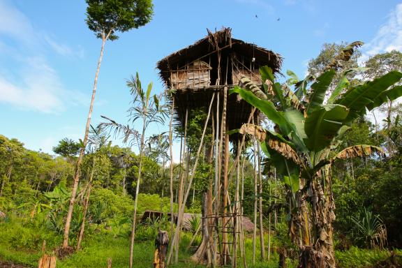 Trek vers une maison perchée du peuple korowai dans les forêts du sud de la Papua