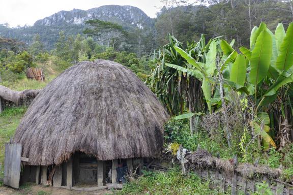 Randonnée vers une hutte traditionnelle papoue dans la vallée de Baliem
