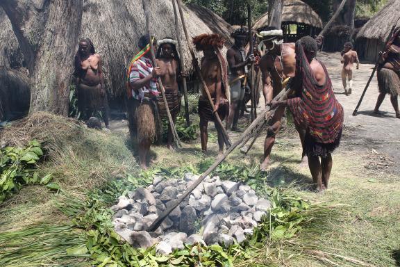 Voyage vers la cuisson traditionnelle des cochons et patates douces dans un village papou