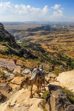 Rencontre avec une chamelière sur les plateaux du Tigray