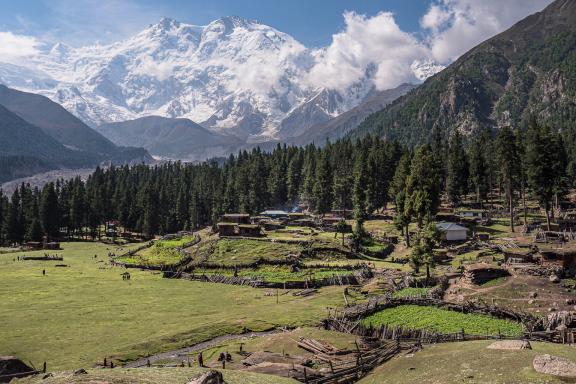 trek vers Fairy Meadows au pied du Nanga Parbat au Pakistan