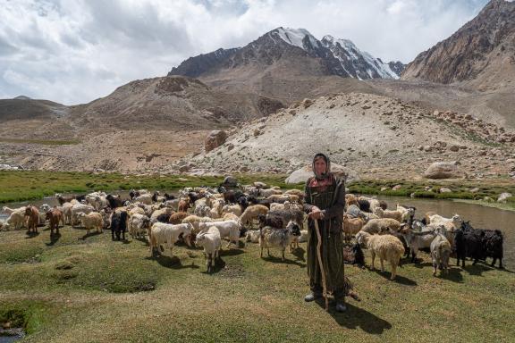 Randonnée, estive et transhumance au campement de Virinj