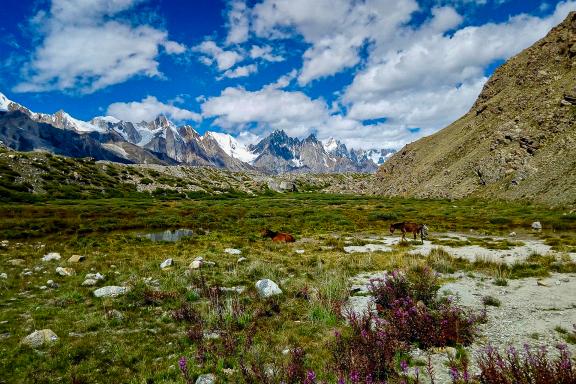 Trekking vers le snow lake au Gilgit Baltistan