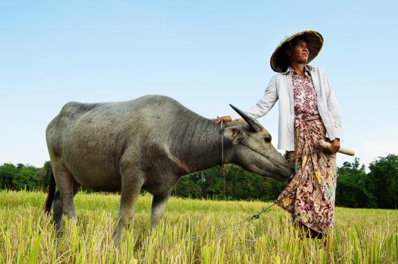 Randonnée dans la campagne khmère près de Kompong Cham