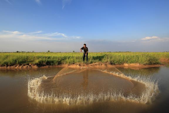 k vers un pêcheur au filet dans la campagne khmère