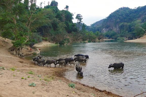 Randonnée au bord de la rivière Xe Bang Fai dans la région de Khammouane