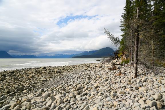 Randonnées sur les plages en Alaska aux États-Unis