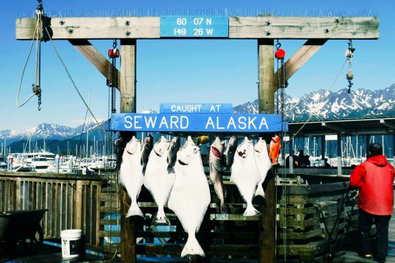 Voyage découverte de Seward et de l'Alaska aux États-Unis