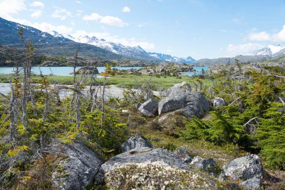 Randonnée en Alaska aux États-Unis