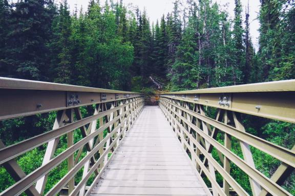 Trekking dans Denali National Park and Preseve en Alaska aux États-Unis