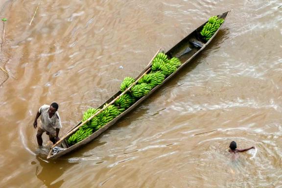 Découverte d'un barque transportant des bananes dans les hautes terres malgaches