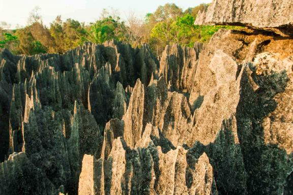 Exploration au cœur des Tsingy du Bemaraha