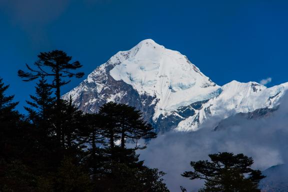 Entre Tshoka et Dzongri pendant le trek du Gocha-la au Sikkim en Inde