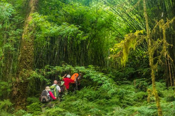 Pendant le trek du Gocha-la au Sikkim en Inde