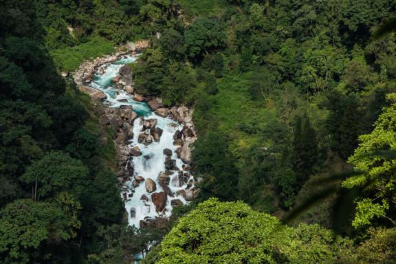 Entre Yuksom et Tshoka pendant le trek du Gocha-la au Sikkim en Inde