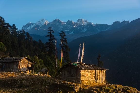 Camp de Tshoka pendant le trek du Gocha-la au Sikkim en Inde