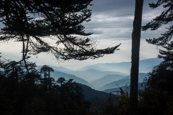 Pendant le trek du Gocha-la au Sikkim en Inde