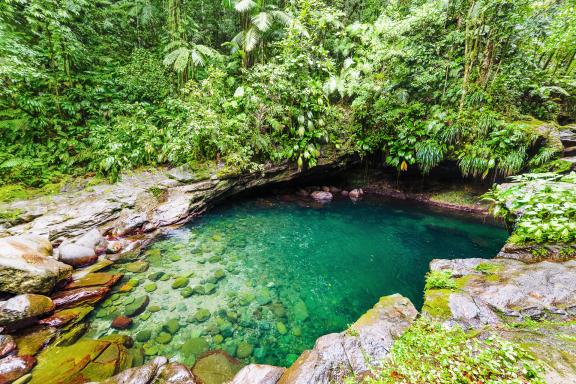 Randonnée à Ravine Paradis en Guadeloupe