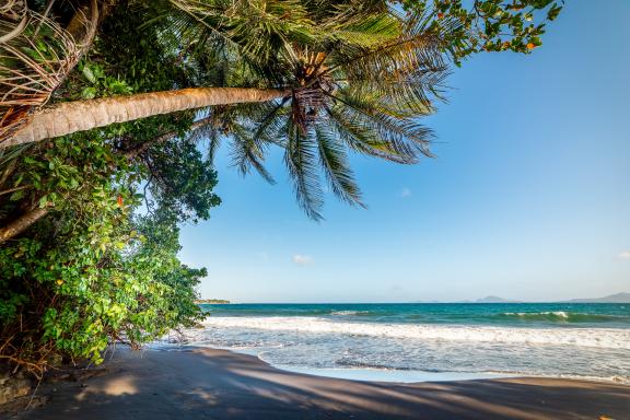 découverte de Trois Rivières - plage de Grand Anse