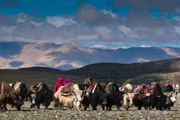 La kora du mont Kailash au Tibet en Chine