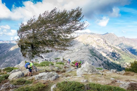 Trek sur le col de Vergio en Corse