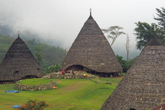 Découverte des maisons hautes du peuple manggarai sur l'île de Flores