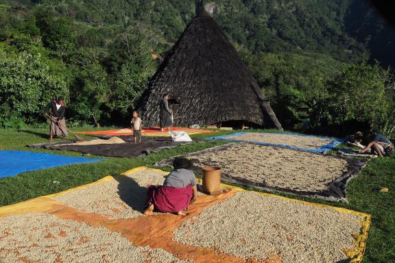 Immersion chez le peuple manggarai dans le village de Wae Rebo