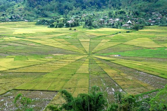 Randonnée vers les rizières en toile d'araignée de Ruteng sur l'île de Flores