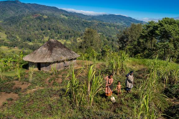 Randonnée vers des femmes papoues enga dans leur jardin dans la région des Highlands