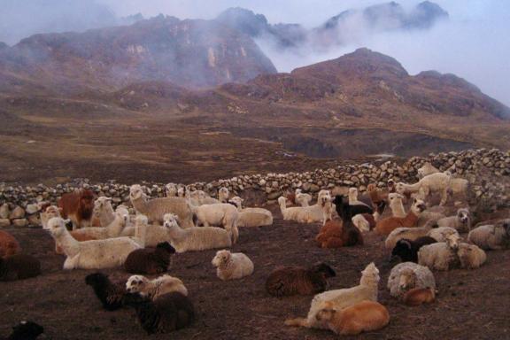 Trek chez les Q'eros au Pérou