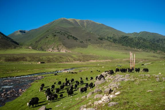 Trek Manigango - Dzongsar au Tibet oriental en Chine