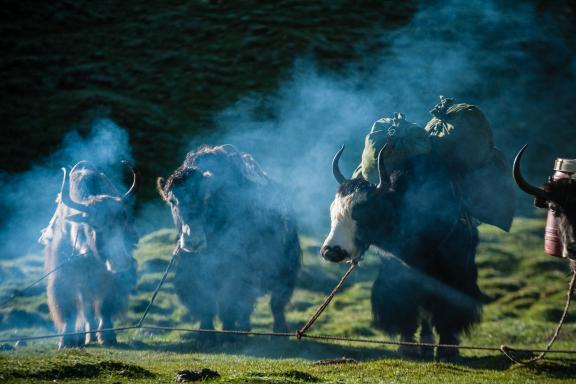 Tagong dans la région du Kham au Tibet oriental en Chine