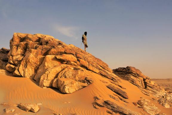 Trek avec un chamelier regardant l'horizon en Mauritanie