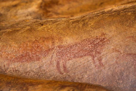 Voyage et peinture rupestre en Mauritanie