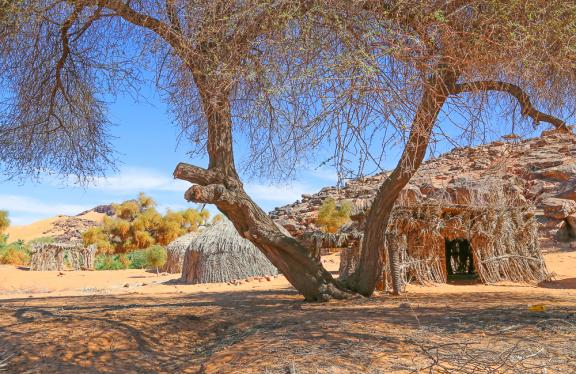 Trek et habitation nomade dans l'Adrar