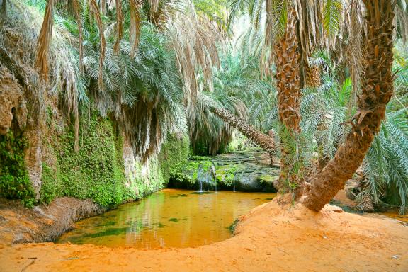 Randonnée vers un oasis de l'Adrar